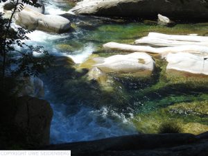 DSCN1343