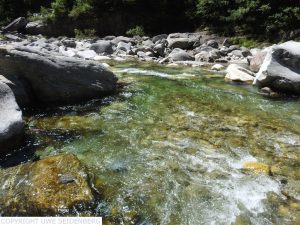 DSCN1356