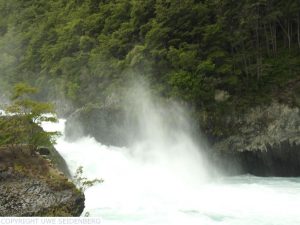 DSCN3045