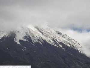 DSCN3068