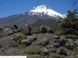 DSCN4292